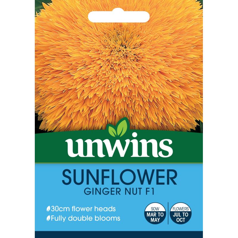 Sunflower Ginger Nut F1