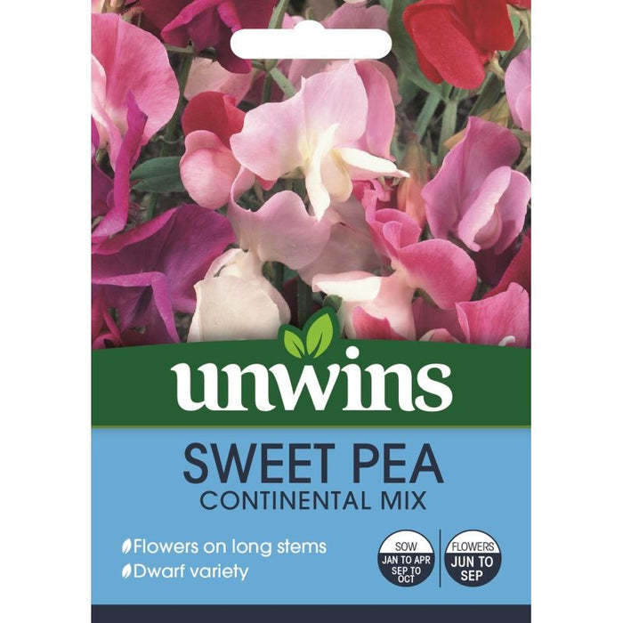 virksomhed familie Anerkendelse Sweet Pea Continental Mix — Newlands Garden Centre