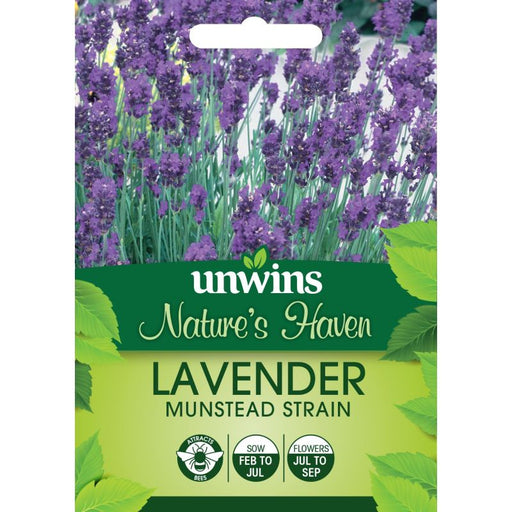Natures Haven Lavender Munstead Strain