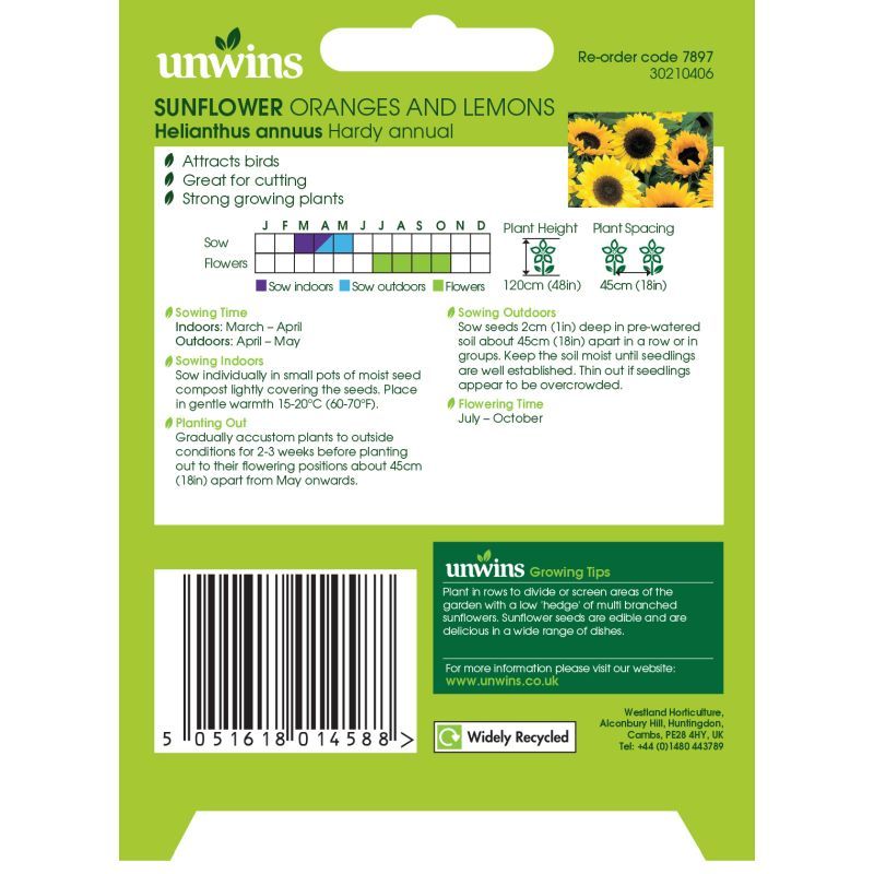 Natures Haven - Sunflower Oranges & Lemons