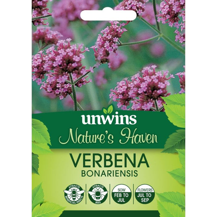 Natures Haven - Verbena Bonariensis