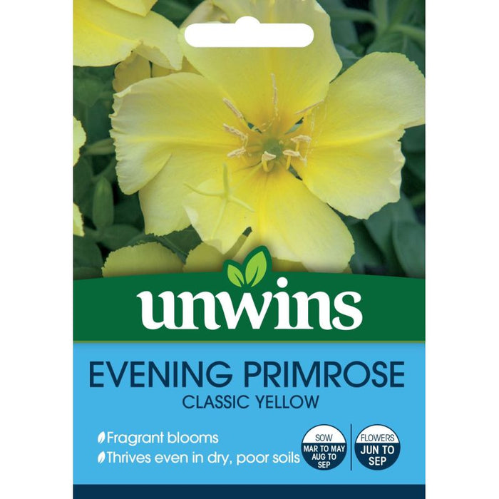 Natures Haven Wildflower Evening Primrose