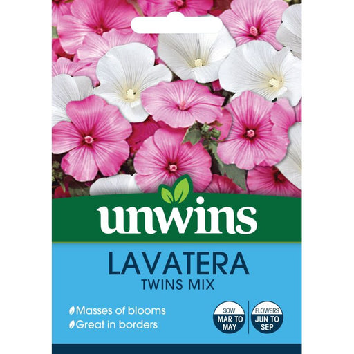 Lavatera Twins Mix