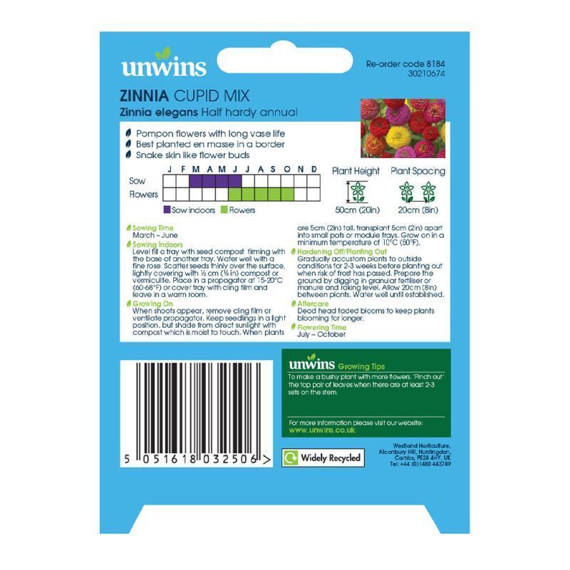 Zinnia Cupid Mix