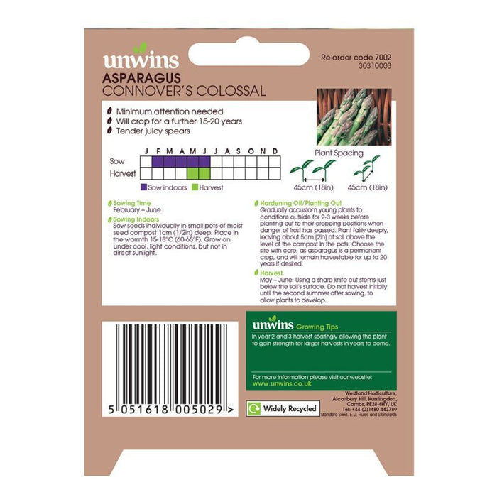 Asparagus Connover's Colossal