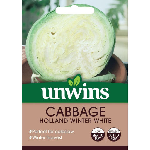 Cabbage Round Holland Winter White