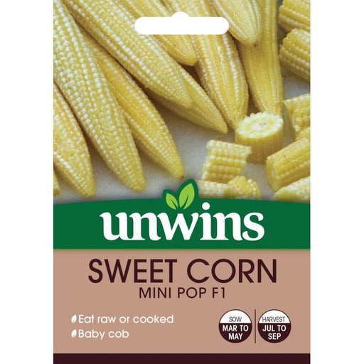 Sweet Corn Mini Pop