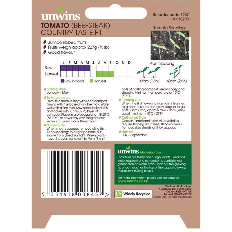 Tomato Beefsteak CountryT