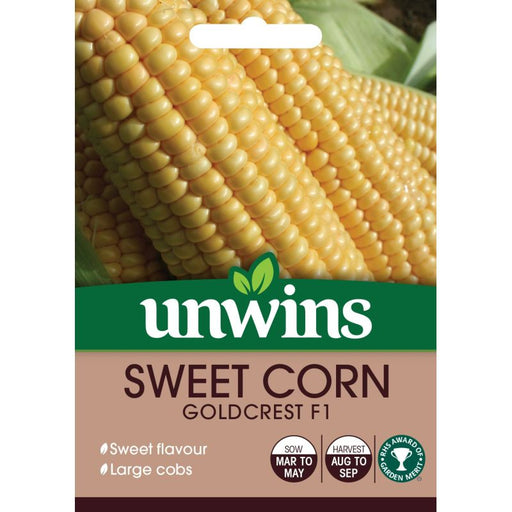 Sweet Corn Goldcrest