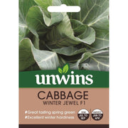 Cabbage Spring Greens Winter Jewel