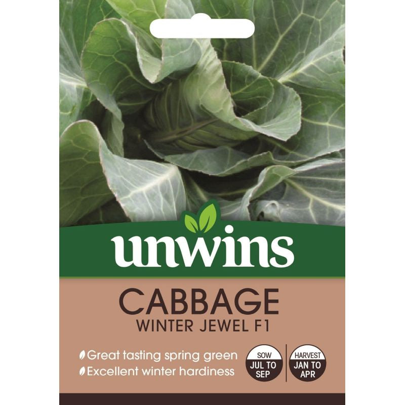Cabbage Spring Greens Winter Jewel