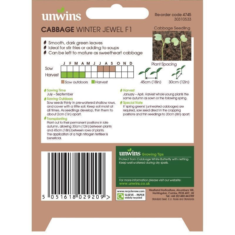 Cabbage Spring Greens Winter Jewel