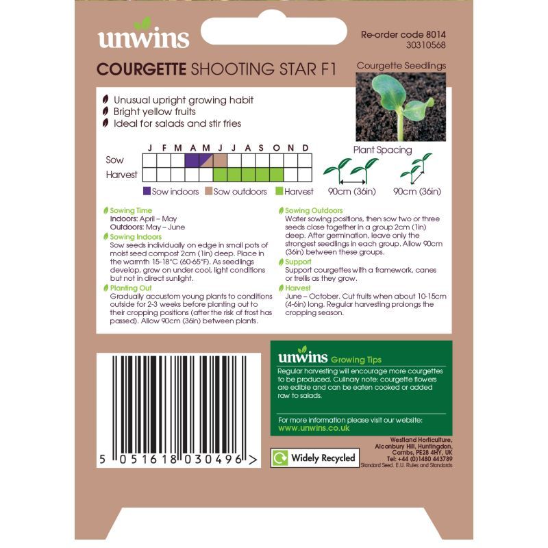 Courgette Shooting Star