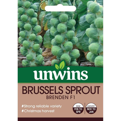 Brussels Sprout Brenden