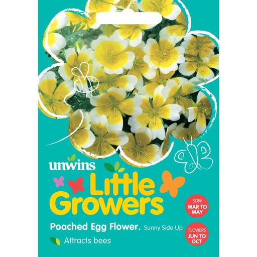 Little Growers Poached Egg Flower Sunnyside