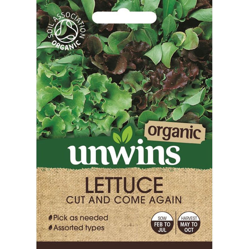 Lettuce Leaves Cut And Come Again Organic