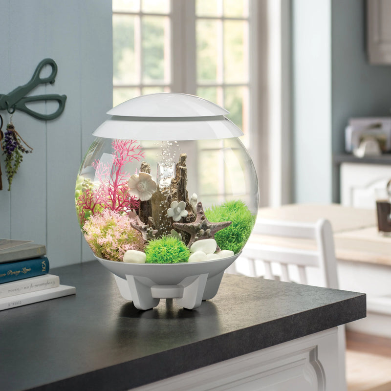 biOrb Aquatic Topiary Ball With Daisies