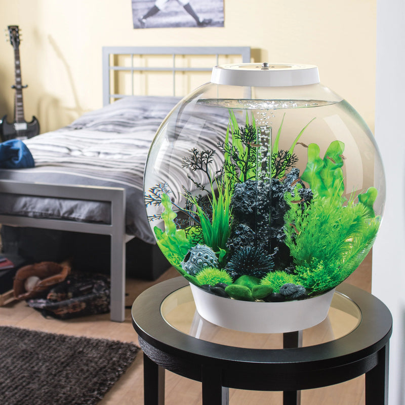 biOrb Aquatic Topiary Ball With Daisies