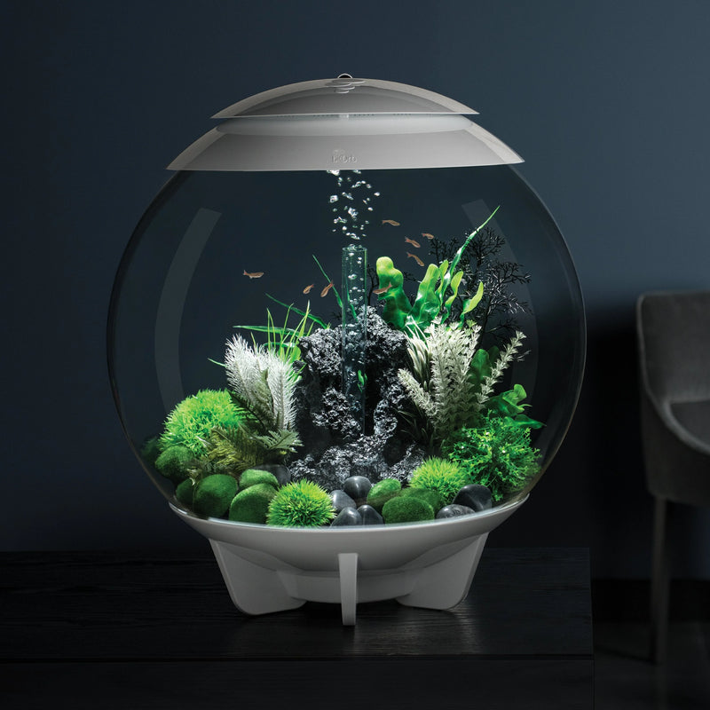 biOrb Aquatic Topiary Ball With Daisies