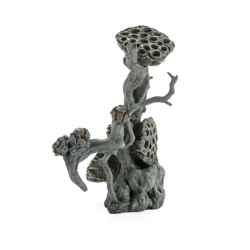 biOrb Lotus Seedpod on Root L