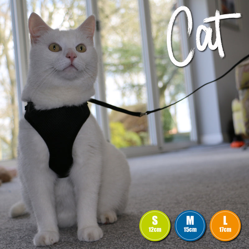 Ancol Soft Cat Harness & Lead Black Large