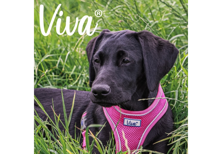 Ancol Viva Comfort Harness Medium 44-57cm Pink