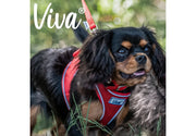 Ancol Dog Collar Nylon Red 18" Size 35 - 43cm