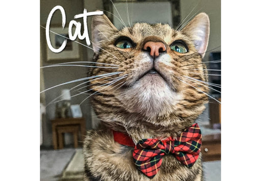 Ancol Vintage Bow Safety Cat Collar Tartan