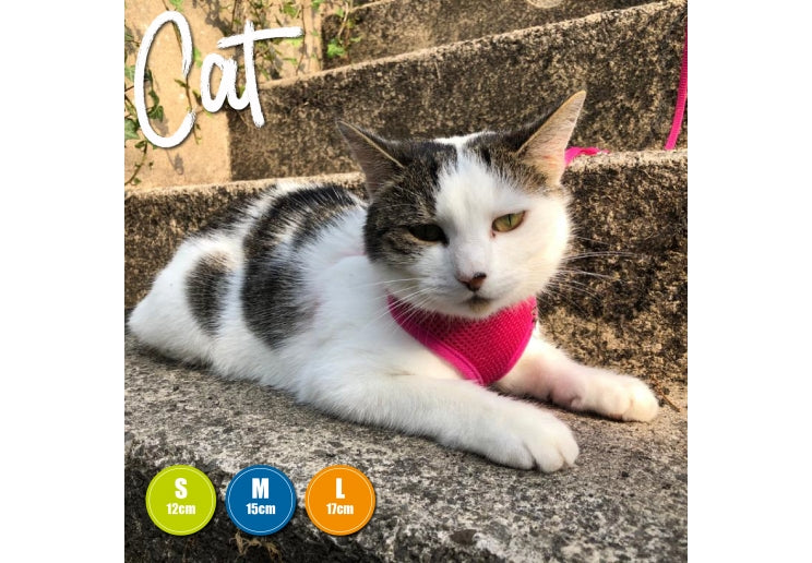 Ancol Soft Cat Harness & Lead Set Pink Large 17cm