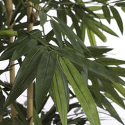 Bamboo Green in Synthetic Pot 200 x 100cm