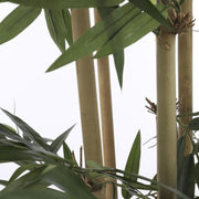 Bamboo Green in Synthetic Pot 200 x 100cm