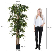 Bamboo Green in Synthetic Pot 200 x 100cm