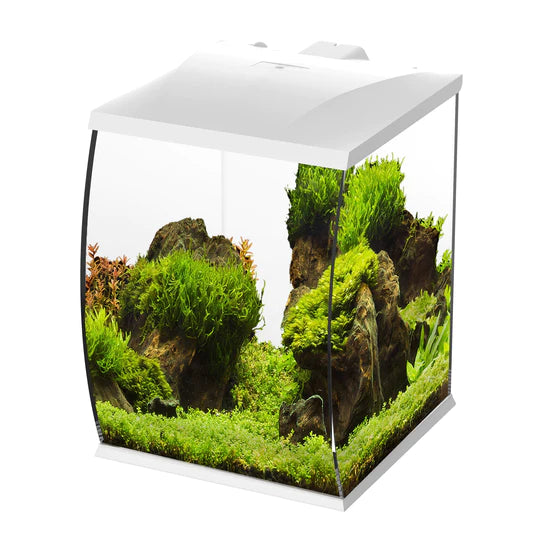 Betta Curve Tank 35L White