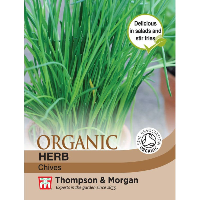 Herb Chives Organic