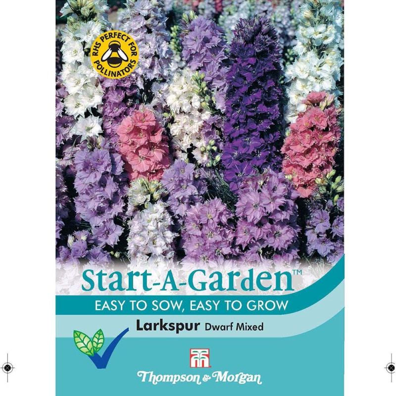 Larkspur The Seven Dwarfs