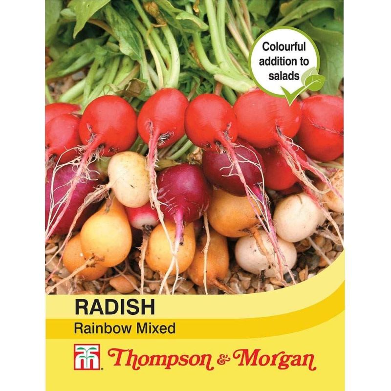 Radish Rainbow Mix
