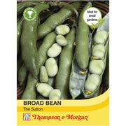 Broad Bean The Sutton