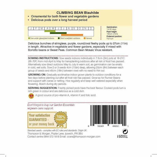 Climbing Bean Blauhilde