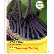 Dwarf Bean Pur Teepee