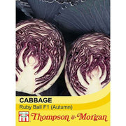 Cabbage Ruby Ball Hybrid