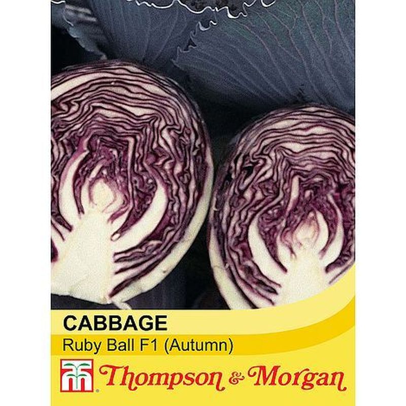 Cabbage Ruby Ball Hybrid