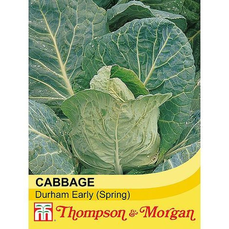 Cabbage Durham Early