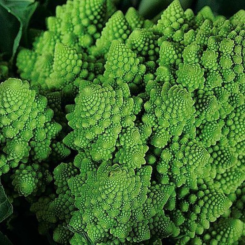 Broccoli Romanesco