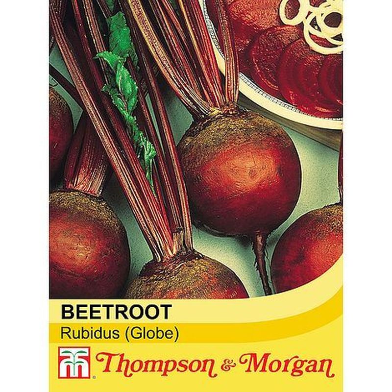 Beetroot Detroit 6 Rubidus