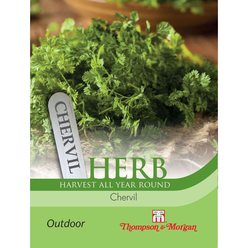 Herb Chervil