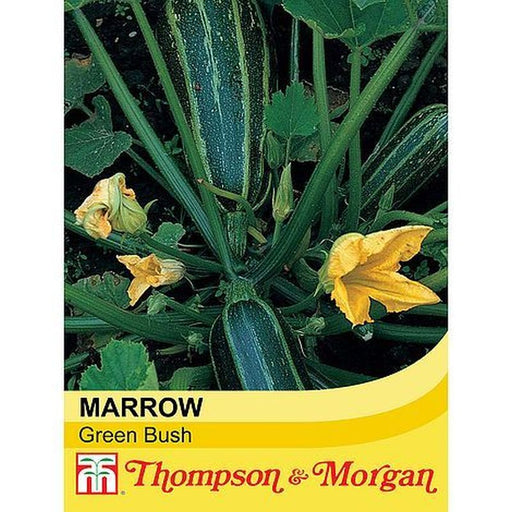 Marrow GreenBush 4