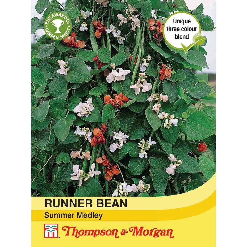 Runner Bean Summer Medley