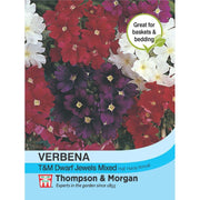 Verbena T&M Dwarf Jewels Mix