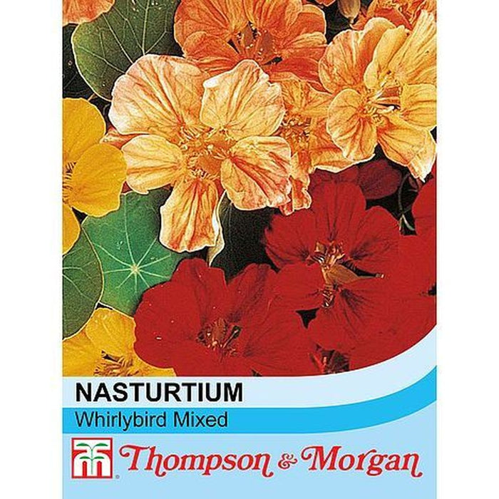 Nasturtium Whirlybird Mixed