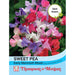 Sweet Pea Early Mammoth Mix